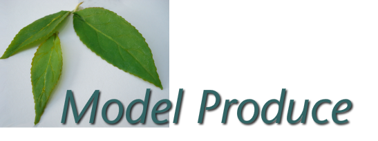 Model Produce